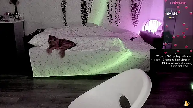 strawberry elfcat online show from 20, 2, 2026