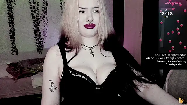 strawberry elfcat online show from 8, 2, 2026