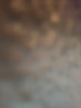 Atlantalitty online show from 21, 1, 2025