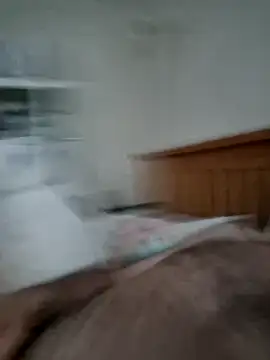 jonjoey123 online show from 1, 4, 2026