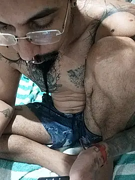 iirgastam3 online show from 17, 2, 2026