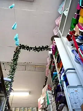 Mia Novikov online show from 4, 10, 2025