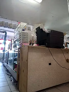 Snapshot of Mia_Novikov chatting on 24, 2, 2026 Mia Novikov online show from 24, 2, 2026