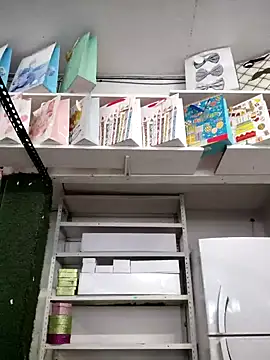 Mia Novikov online show from 16, 1, 2025