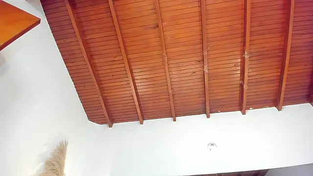 sofhiaa adaams online show from 15, 11, 2025