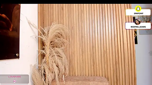 sofhiaa adaams online show from 22, 2, 2026