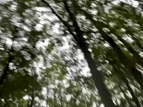 lookin4excitement23 online show from 10, 9, 2025