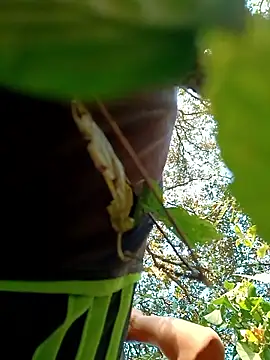 JrCXXIV online show from 8, 1, 2026