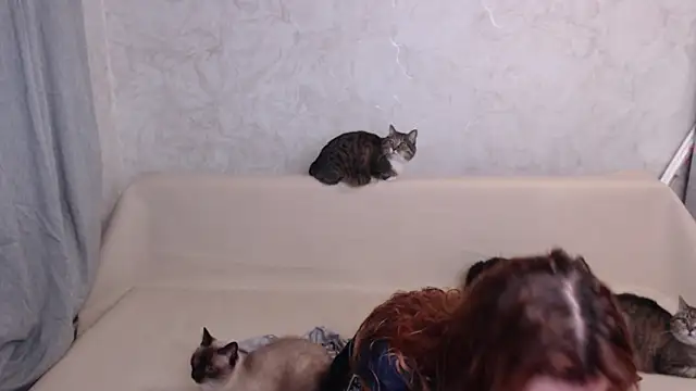 Olivia Winston online show from 28, 9, 2025