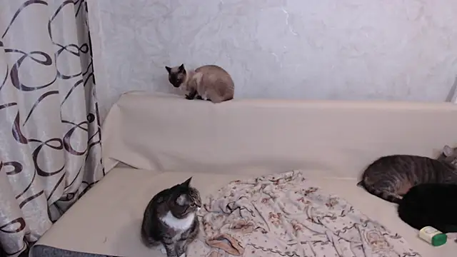 Olivia Winston online show from 27, 10, 2025