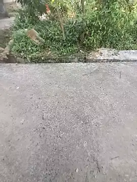 ind hero online show from 31, 10, 2025