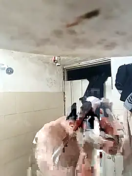 walwan85 online show from 12, 11, 2025