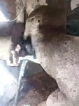 Goodman4usexy online show from 10, 3, 2026