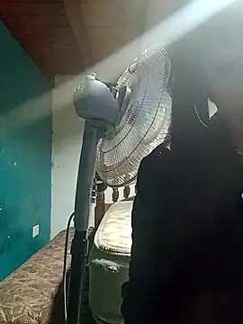 gala2 online show from 27, 2, 2025