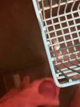 LivingLegend1978 online show from 10, 9, 2025