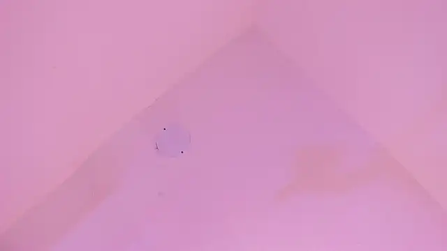 LoveQueen2 online show from 14, 1, 2026