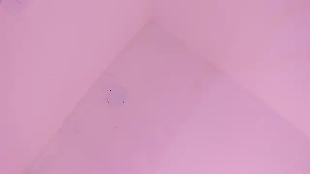 LoveQueen2 online show from 10, 1, 2026