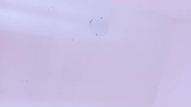 LoveQueen2 online show from 20, 3, 2026