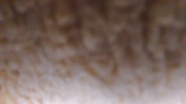 Snapshot of Burberrry_ chatting on 22, 6, 2026 Burberrry online show from 22, 6, 2026