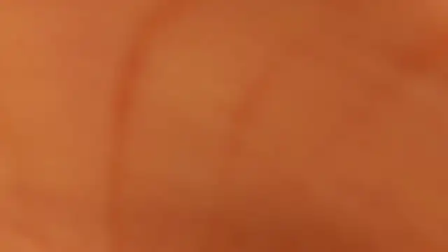 catalina  23 online show from 17, 3, 2025