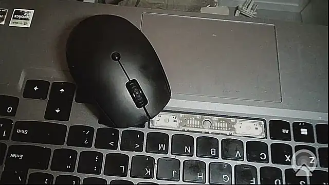 EXOTICLEXXXI online show from 14, 2, 2026