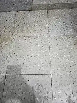 Tamil Boy28 online show from 20, 3, 2025