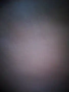 BarbudoSP35 online show from 9, 11, 2025