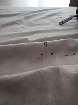 BarbudoSP35 online show from 15, 3, 2025