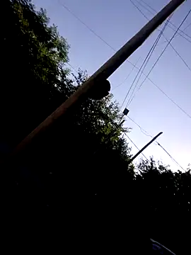 hecwil8 online show from 22, 1, 2025