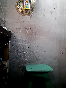 hecwil8 online show from 17, 12, 2025