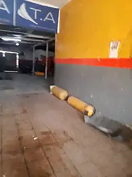 hecwil8 online show from 10, 9, 2025