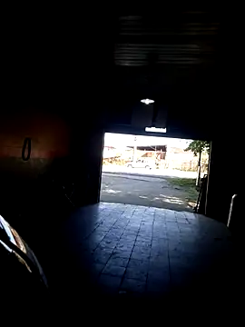 hecwil8 online show from 31, 10, 2025