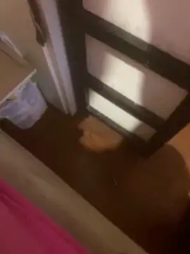 gigetto1977 online show from 28, 3, 2026