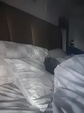 CeceilaMoon online show from 21, 4, 2026