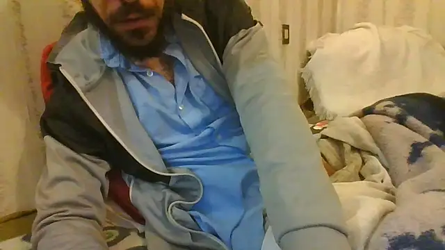 tozebrito hd online show from 5, 12, 2024