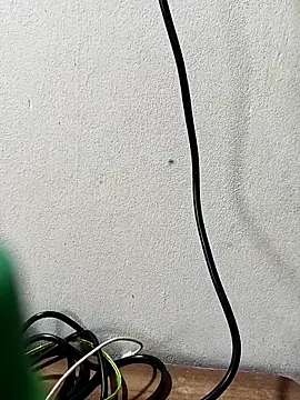 Tujo islam online show from 17, 9, 2025