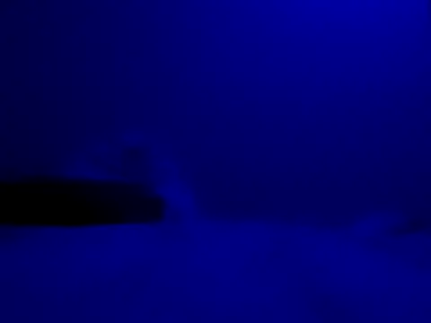 Blkstylion online show from 27, 11, 2025