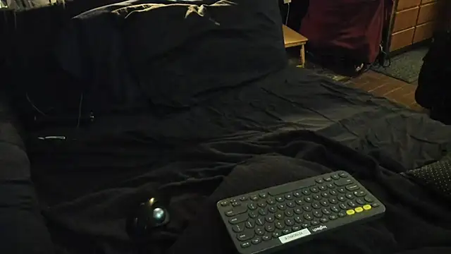 Snapshot of Dark_Asteroid chatting on 22, 2, 2026 Dark Asteroid online show from 22, 2, 2026