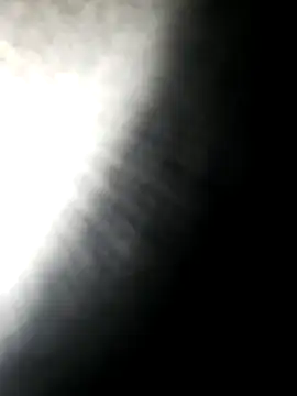 hotdog4you2 online show from 16, 10, 2025