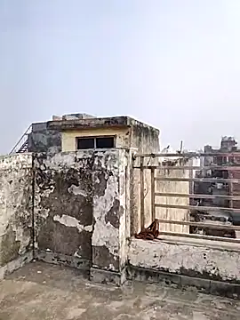 Snapshot of _Redwine_ chatting on 19, 12, 2025 Redwine online show from 19, 12, 2025