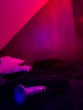 nicedicknicetats online show from 12, 11, 2025