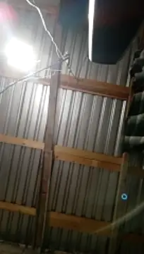 Moreno1813 online show from 5, 11, 2025