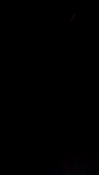 Moreno1813 online show from 3, 12, 2025