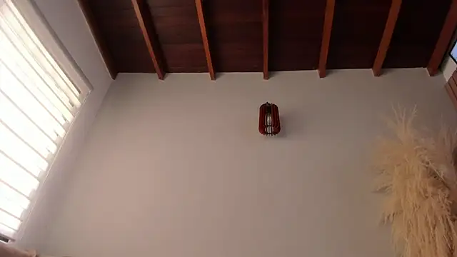 neo dimou  online show from 24, 9, 2025