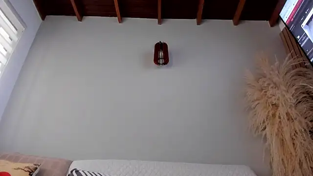 neo dimou  online show from 25, 10, 2025