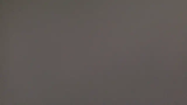 molozeb online show from 5, 10, 2025