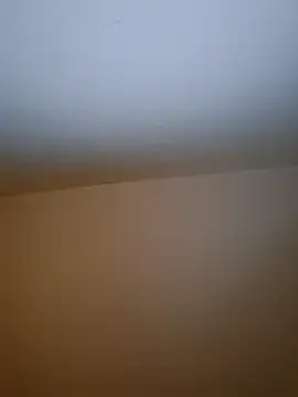 molozeb online show from 19, 12, 2025