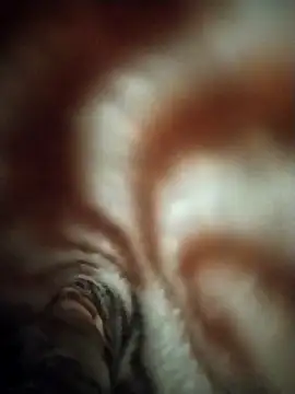 FantasticWonders9 online show from 12, 4, 2026