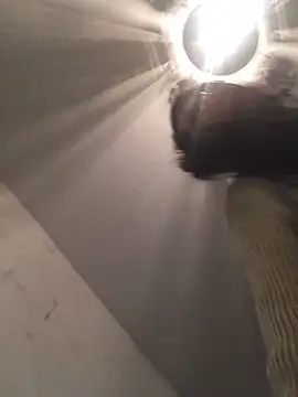 ChantalXOrchid online show from 21, 12, 2025