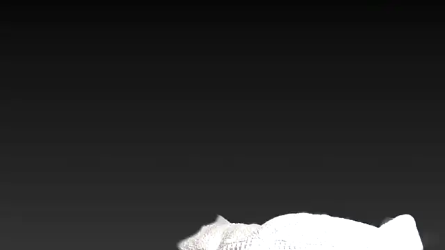 Snapshot of juanpalmox chatting on 25, 11, 2025 juanpalmox online show from 25, 11, 2025